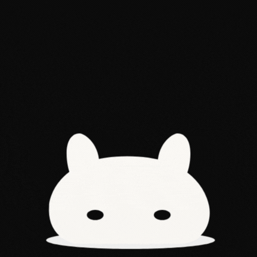 bunny